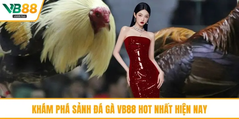 Khám phá sảnh đá gà VB88 hot nhất hiện nay